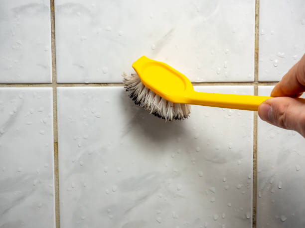 Mold Testing and Removal in Middlesex, NJ