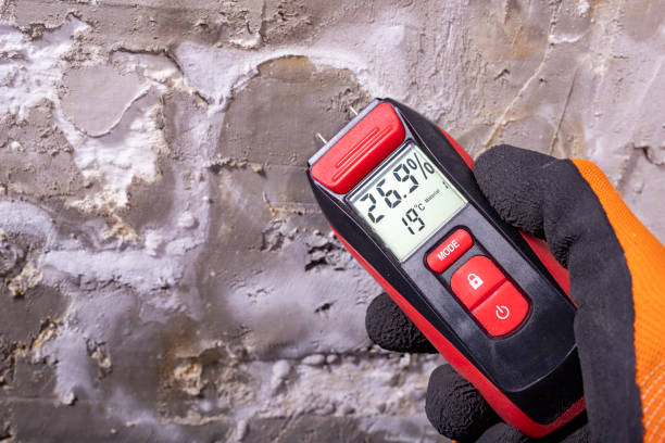 Best Mold Cleaning Services  in Middlesex, NJ