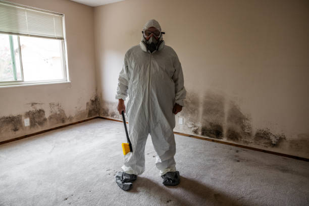 Best Certified Mold Removal  in Middlesex, NJ